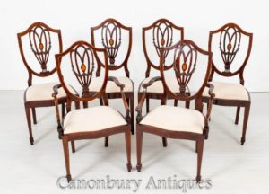 Set Sheraton Esszimmerstühle Mahagoni Circa 1890